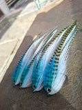 SEAN'S Bucktail Joey