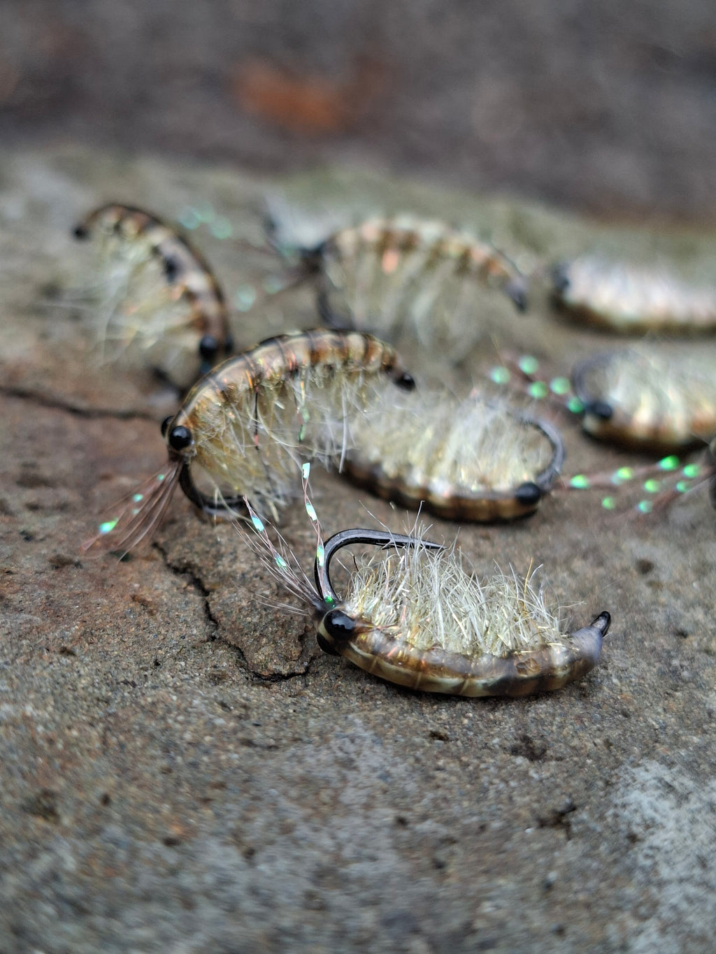 SEAN'S GLOW GAMMARUS