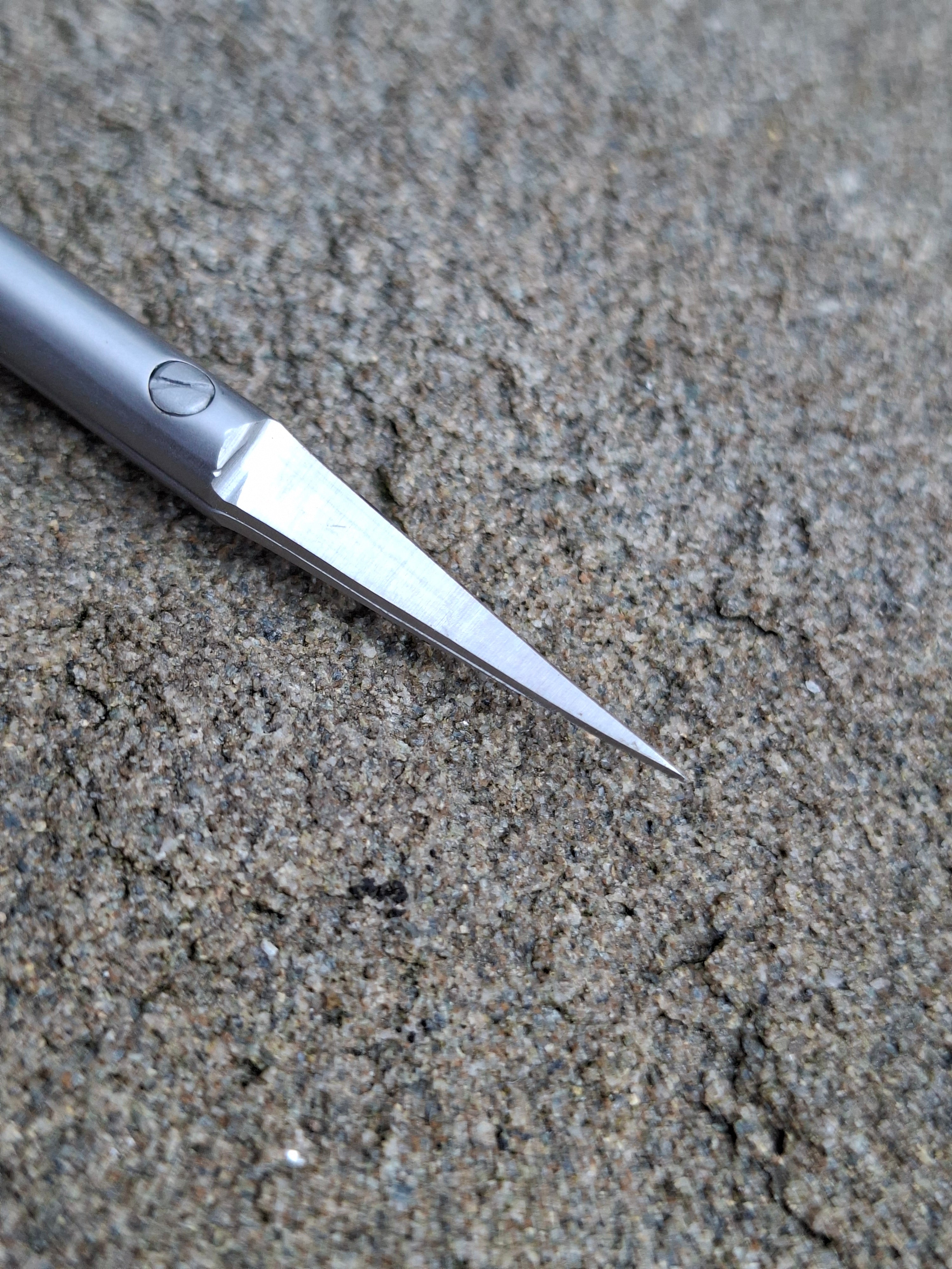 Curved fine tipped tying scissors (Silver)