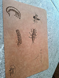 Faux leather tying mat (Limited Edition) The Black River Story
