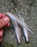 SEAN'S BASS CANDY