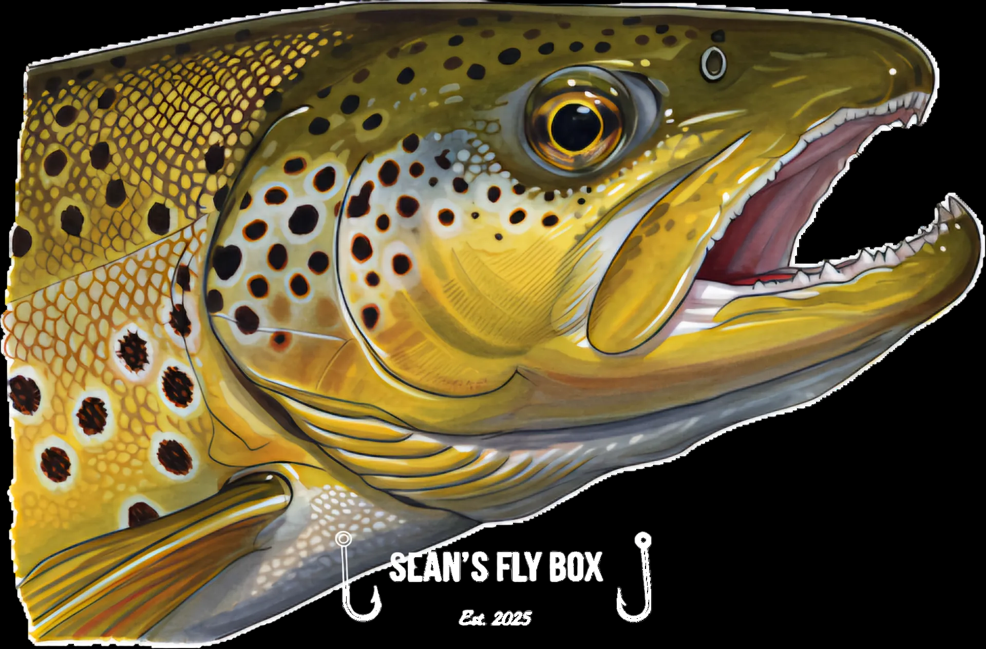 SEAN'S FLY BOX GIFT VOUCHER
