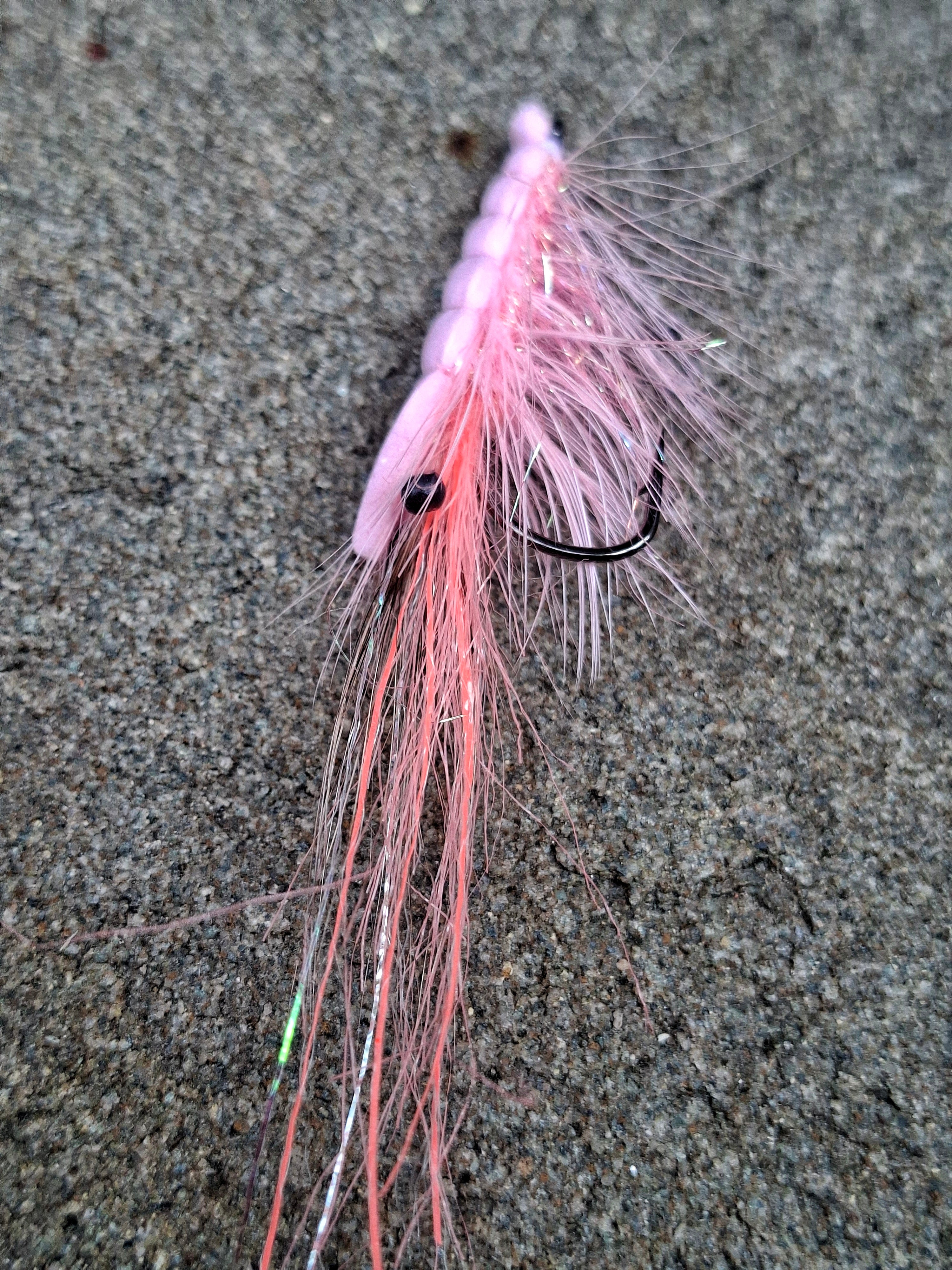 SEAN'S FLOATING SHRIMP